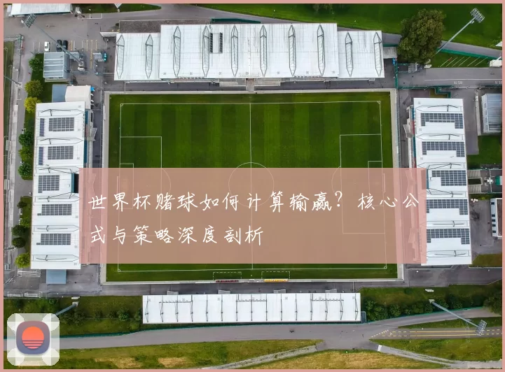 世界杯赌球如何计算输赢?核心公式与策略深度剖析