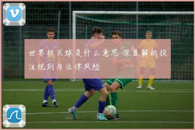 世界杯买球是什么意思 深度解析投注规则与法律风险
