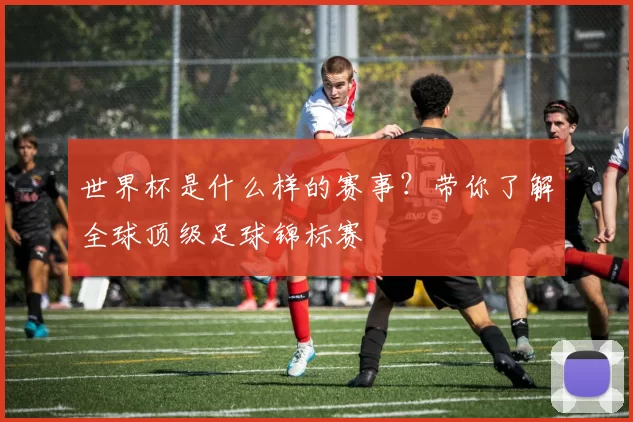 世界杯是什么样的赛事?带你了解全球顶级足球锦标赛