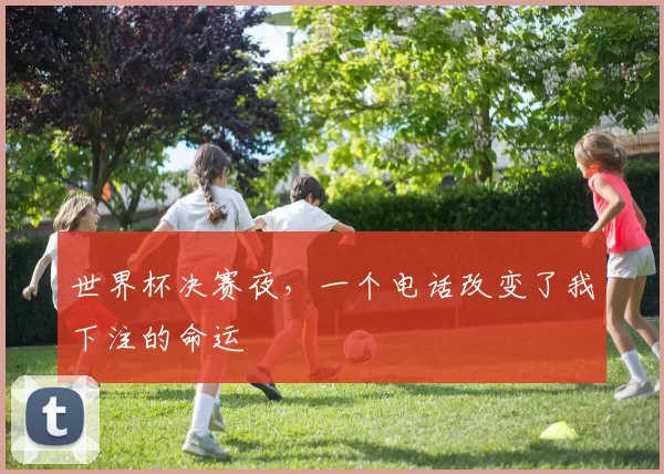 世界杯决赛夜,一个电话改变了我下注的命运