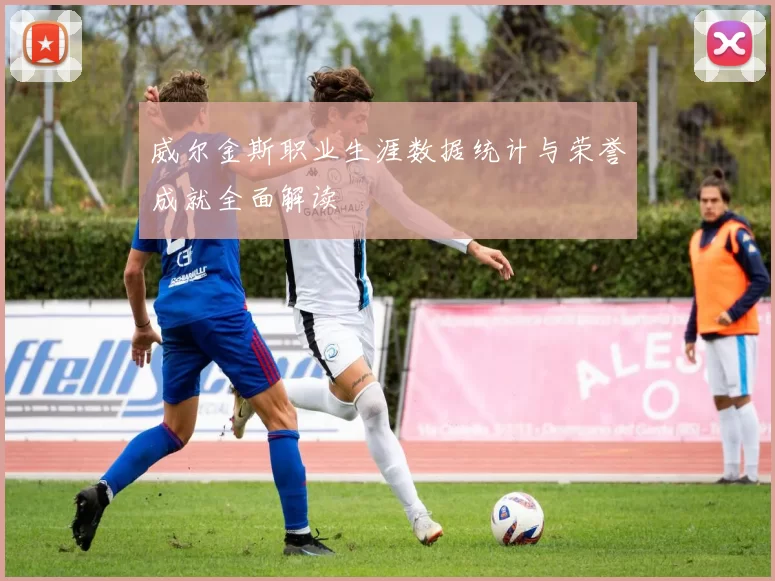 威尔金斯职业生涯数据统计与荣誉成就全面解读