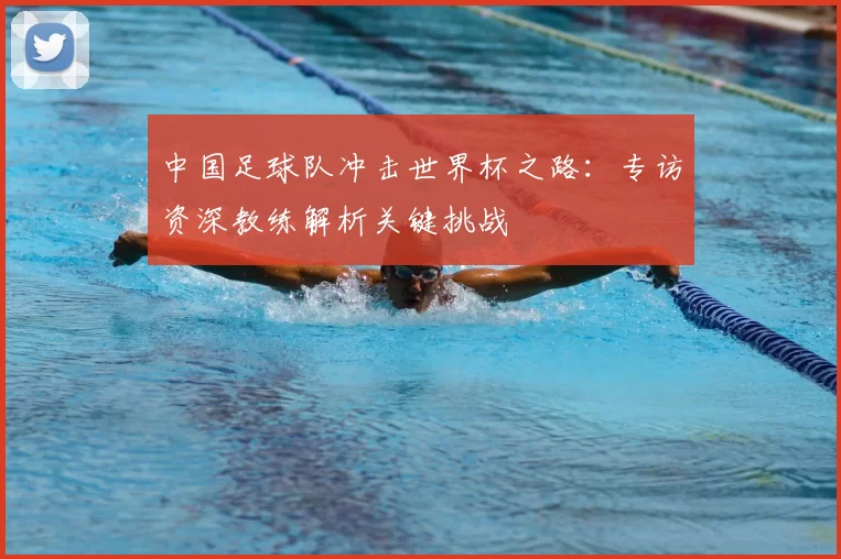 中国足球队冲击世界杯之路:专访资深教练解析关键挑战