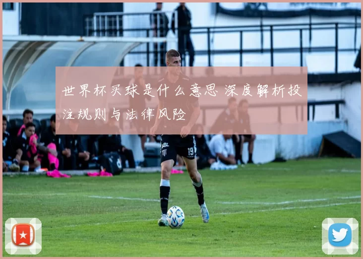 世界杯买球是什么意思 深度解析投注规则与法律风险