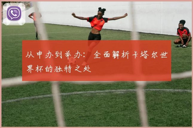 从申办到举办：全面解析卡塔尔世界杯的独特之处