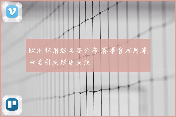 欧洲杯用球名字公布 赛事官方用球命名引发球迷关注
