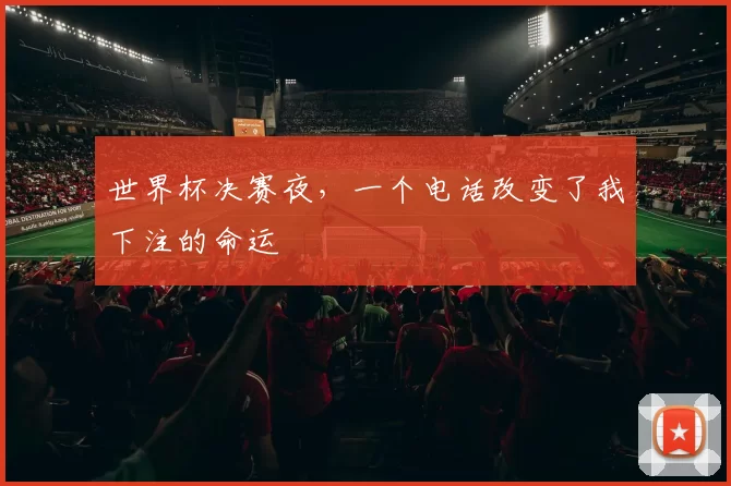 世界杯决赛夜,一个电话改变了我下注的命运